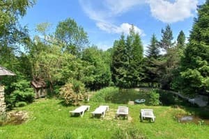 Сказка леса 3