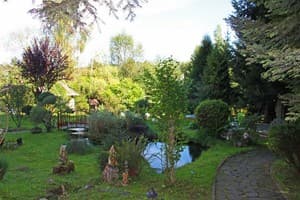 Сказка леса 4