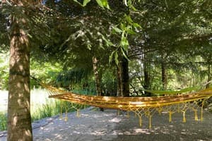 Сказка леса 8