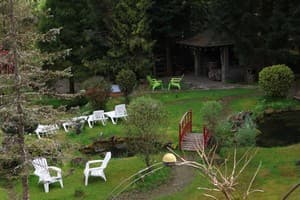 Сказка леса 18