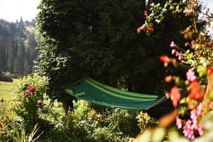 Сказочный Дом 7