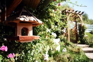 Сказочный Дом 9