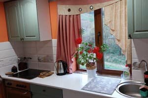 Сказочный лес под Погаром 29