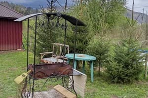 Сказочный лес под Погаром 7