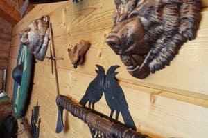 Сказочный лес под Погаром 8