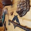 Сказочный лес под Погаром 8-9/45