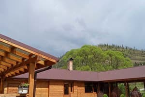 Сказочный лес под Погаром 14