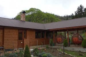 Сказочный лес под Погаром 13