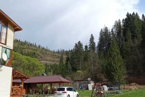 Сказочный лес под Погаром 16