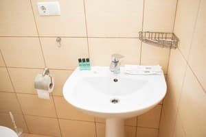 SkilandHouse Yablunytsia 20
