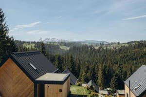 Гостинично-ресторанный комплекс Skogur Home & Resort. Коттедж 4-местный (4+2) две спальни № 111;114;120 2