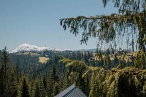 Гостинично-ресторанный комплекс Skogur Home & Resort. Коттедж 6-местный (6+2) три спальни № 107, 110, 112, 123 4