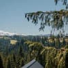 Гостинично-ресторанный комплекс Skogur Home & Resort. Коттедж 6-местный (6+2) три спальни № 7, 10, 12, сруб№23 4