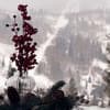 Коттедж Sky Arthall. Коттедж двухместный Mirror stone 23