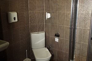 Шале Sky Voyage VIP. Люкс 10-местный  15