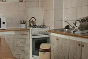 Смерековий 2