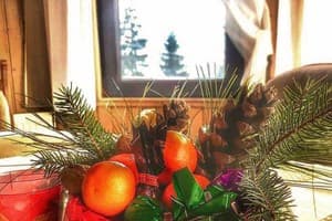 Соколиное гнездо 2