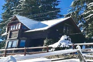 Соколиное гнездо 7