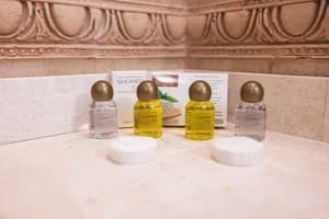 Отель Solva Resort & SPA. Люкс двухместный Элит 12