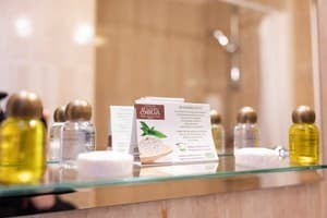 Отель Solva Resort & SPA. Стандарт двухместный  6