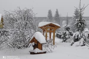 Соннее царство 7