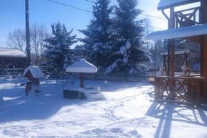 Соннее царство 22