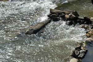 Соннее царство 20