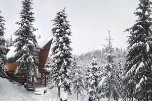 Шале SpitzBergen house