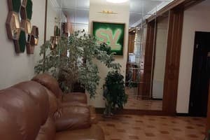 Срібний Водограй 31