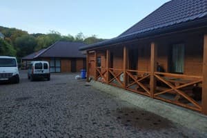 Старый дуб 4