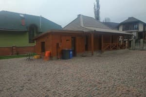 Старый дуб 3