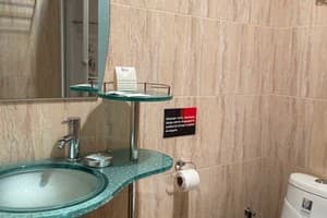Готель Stizhok Hotel & Restaurant. Стандарт двомісний Мансардний Double/Twin із кондиціонером 6