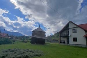 Sunny house 14