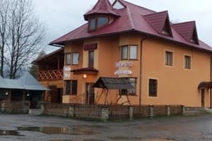 Светлана 1