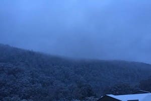 Свитанок по ул. Курортная 3