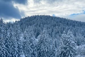 Svoboda Smart Hotel 14