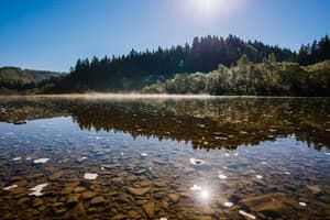 TAOR Karpaty Resort & Spa 29