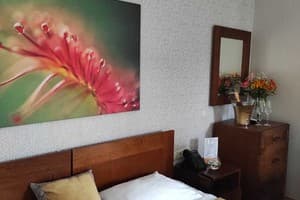 Спа-отель TAOR Karpaty Resort & Spa. Улучшенный двухместный  3