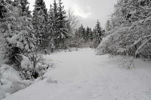 Там где хорошо 17