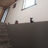 Коттедж Там где хорошо. Коттедж 8-местный  9