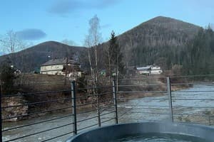 Вилла Tatariv-Hills. Коттедж 5-местный  22