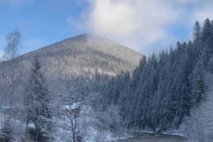 Вилла Tatariv-Hills. Коттедж 5-местный  27