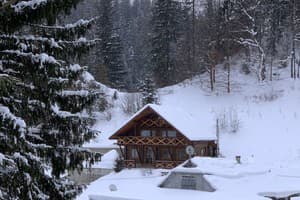 Терношорська Лада 5