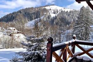 Терношорська Лада 10