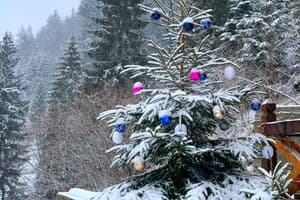 Терношорська Лада 21