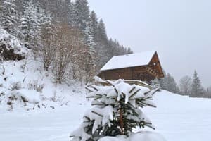 Терношорська Лада 22