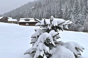 Терношорська Лада 23