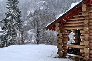 Терношорська Лада 29