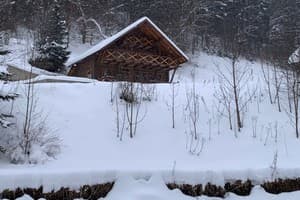 Терношорська Лада 30