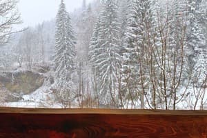 Терношорська Лада 32